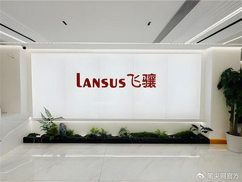 飛驤科技IPO挑戰(zhàn) 前五月營(yíng)收凈利下滑，高負(fù)債率引關(guān)注